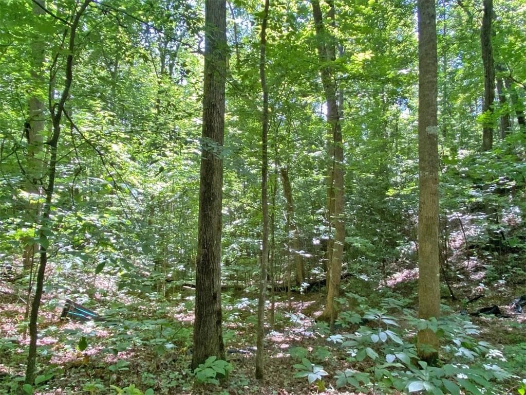 single family residence for sale at 2.4AC Old River Road, Dahlonega, GA 30533 — photo 6