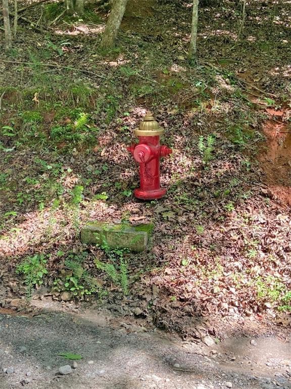 single family residence for sale at 2.4AC Old River Road, Dahlonega, GA 30533 — photo 7