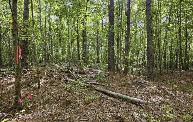single family residence for sale at 0 Dock Hyde Road, Carrollton, GA 30116 — photo 10