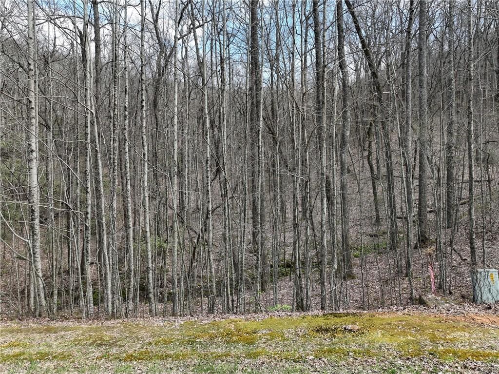 single family residence for sale at 64 St Andrews Way, Ellijay, GA 30536 — photo 2