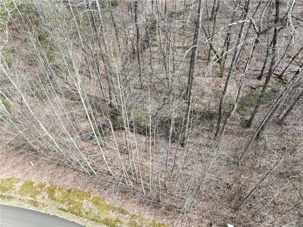 single family residence for sale at 64 St Andrews Way, Ellijay, GA 30536 — photo 5