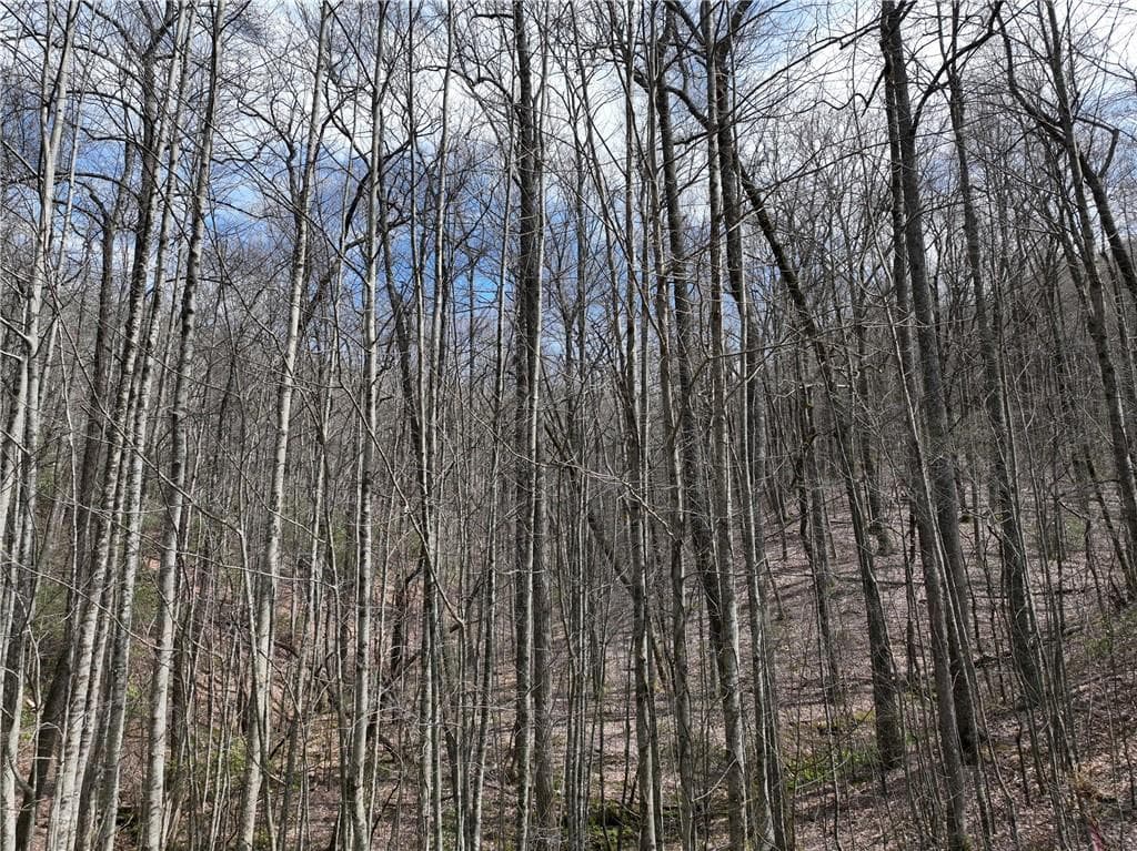 single family residence for sale at 64 St Andrews Way, Ellijay, GA 30536 — photo 6