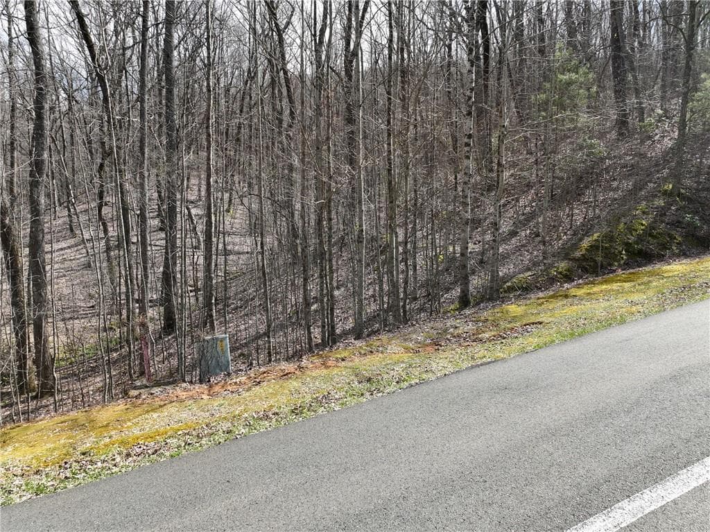 single family residence for sale at 65 St Andrews Way, Ellijay, GA 30536 — photo 2