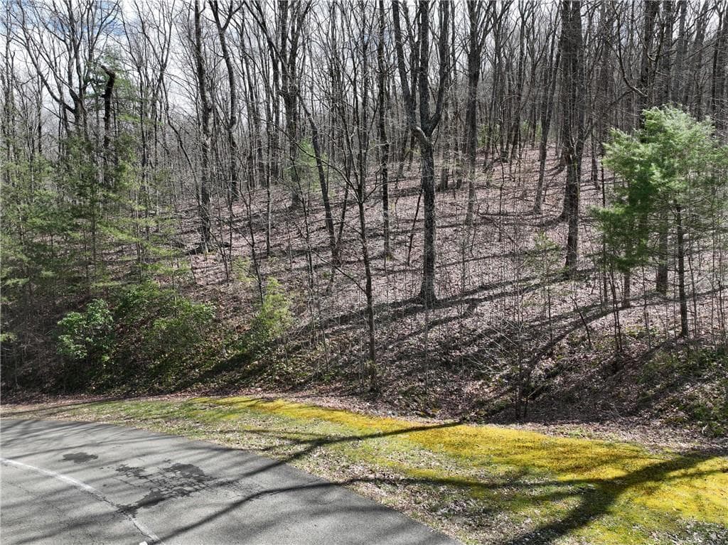 single family residence for sale at 66 St Andrews Way, Ellijay, GA 30536 — photo 2