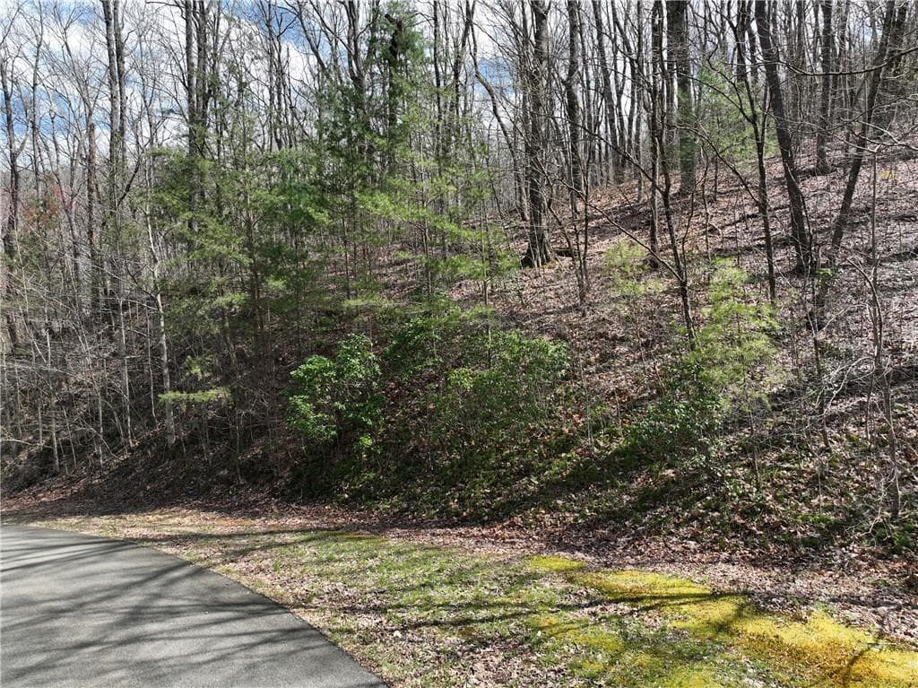 single family residence for sale at 66 St Andrews Way, Ellijay, GA 30536 — photo 9