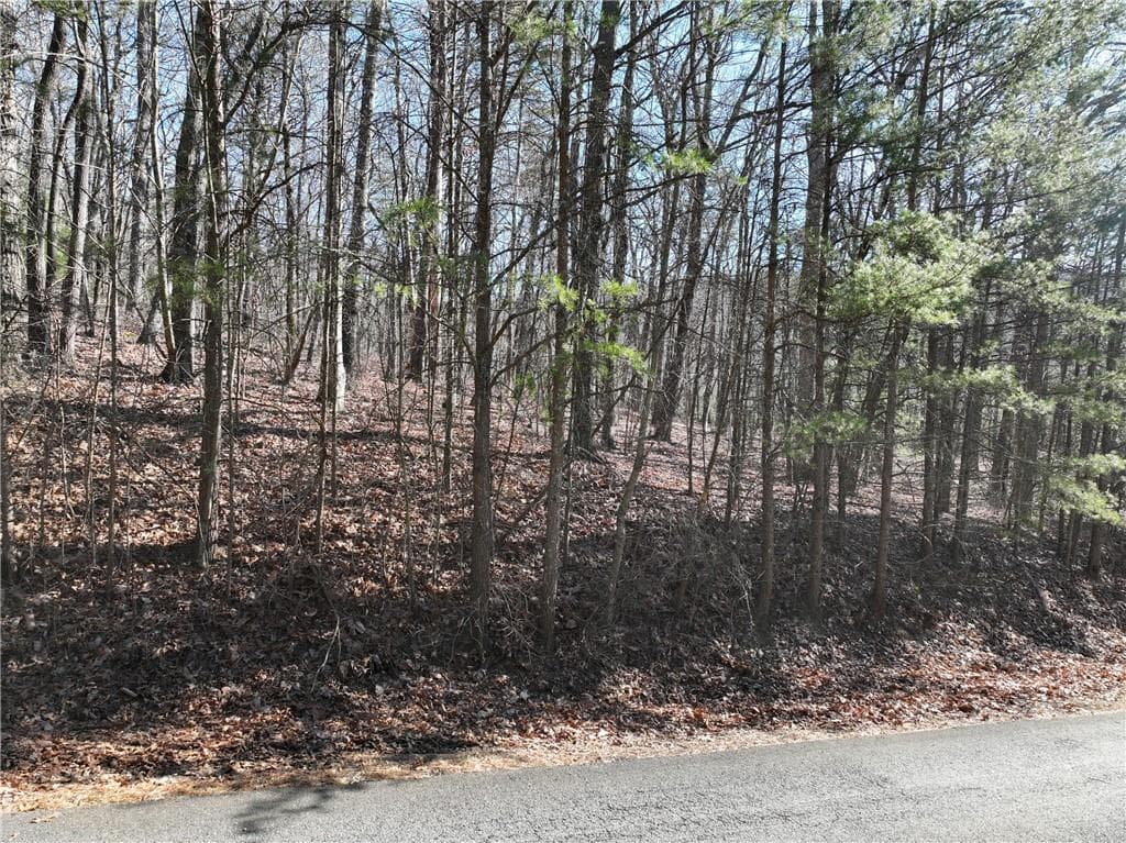 single family residence for sale at 57 St Andrews Way, Ellijay, GA 30536 — photo 8