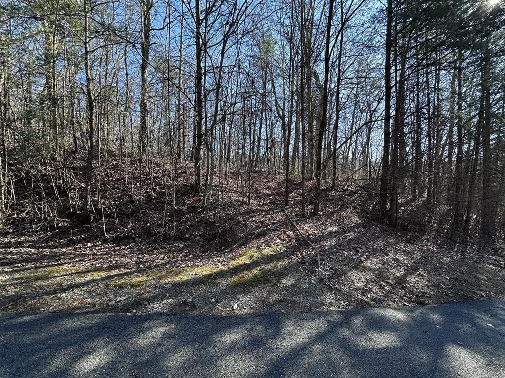single family residence for sale at 57 St Andrews Way, Ellijay, GA 30536 — photo 9