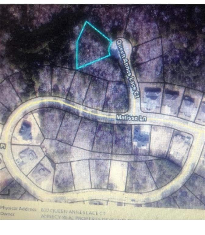 other for sale at 837 QUEEN ANNES LACE #100 Court, Fairburn, GA 30213 — photo 4