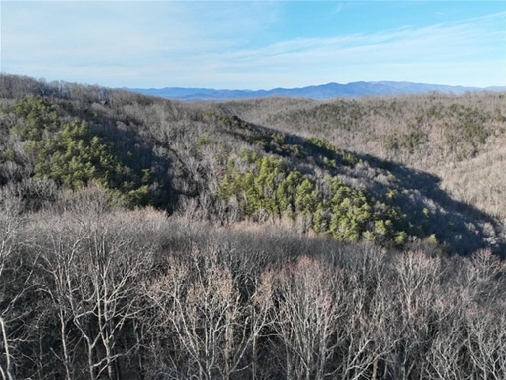 single family residence for sale at 249 Andes Ridge, Ellijay, GA 30536