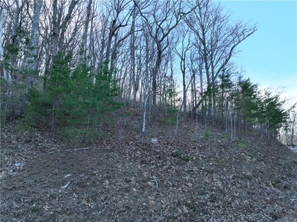 single family residence for sale at 249 Andes Ridge, Ellijay, GA 30536 — photo 2