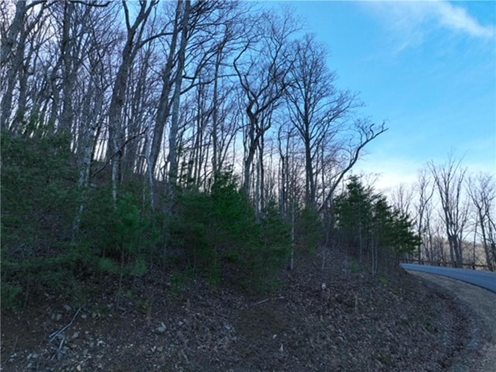 single family residence for sale at 249 Andes Ridge, Ellijay, GA 30536 — photo 9