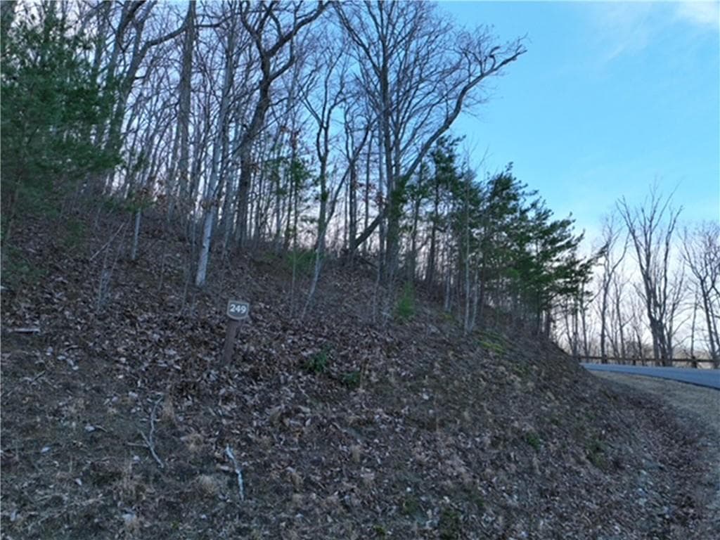 single family residence for sale at 249 Andes Ridge, Ellijay, GA 30536 — photo 10