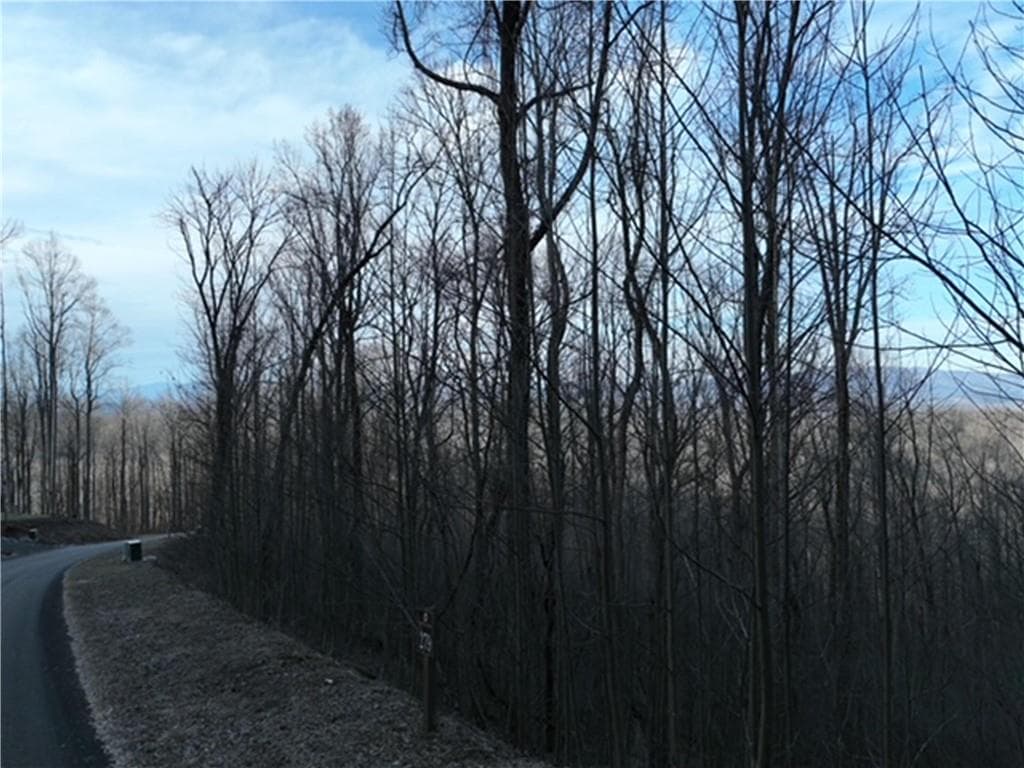 single family residence for sale at 279 Andes Ridge, Ellijay, GA 30536 — photo 5