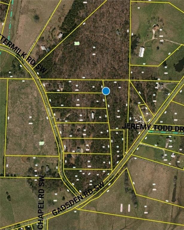 unimproved land for sale at 700 Gadsden Road, Cave Spring, GA 30124 — photo 2