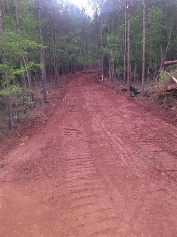 unimproved land for sale at 700 Gadsden Road, Cave Spring, GA 30124 — photo 3
