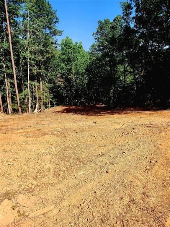 unimproved land for sale at 700 Gadsden Road, Cave Spring, GA 30124 — photo 4
