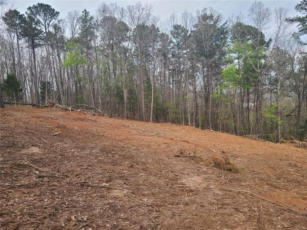 unimproved land for sale at 700 Gadsden Road, Cave Spring, GA 30124 — photo 5