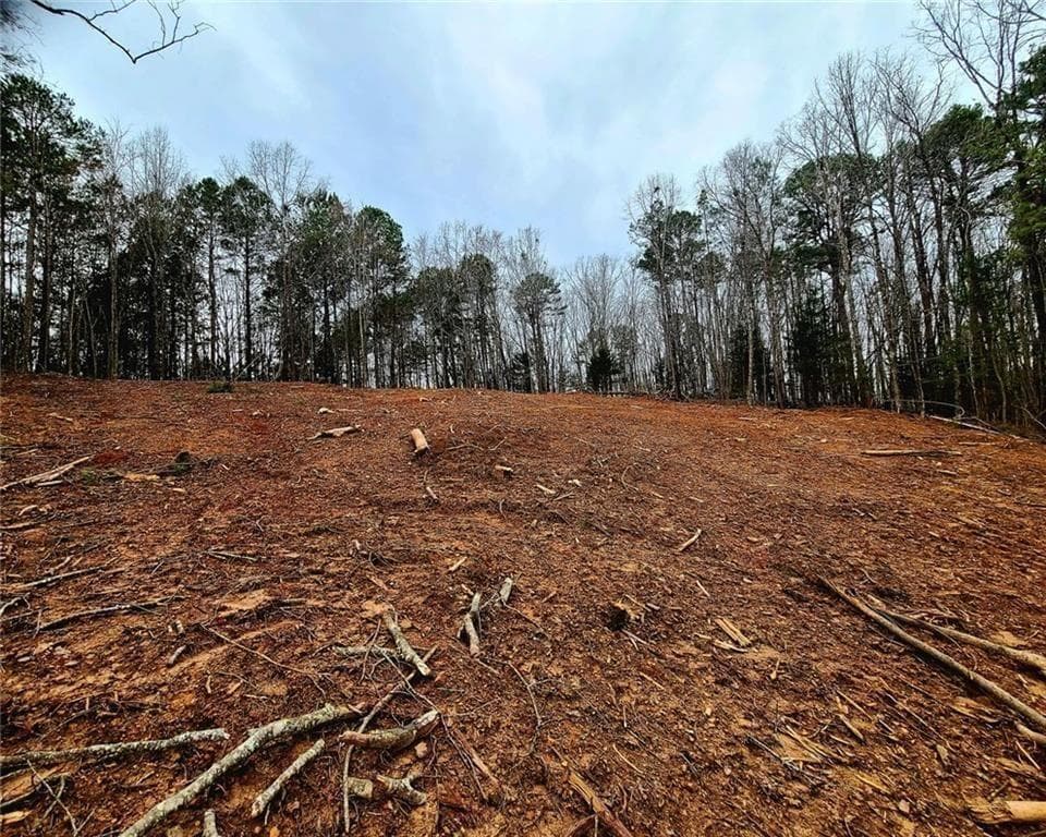 unimproved land for sale at 700 Gadsden Road, Cave Spring, GA 30124 — photo 6
