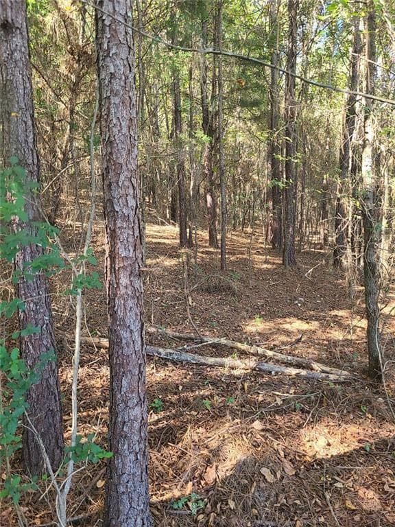 unimproved land for sale at 700 Gadsden Road, Cave Spring, GA 30124 — photo 7