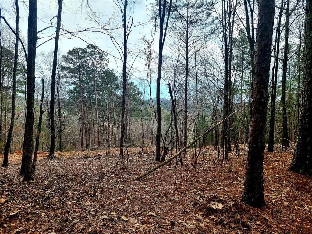 unimproved land for sale at 700 Gadsden Road, Cave Spring, GA 30124 — photo 8