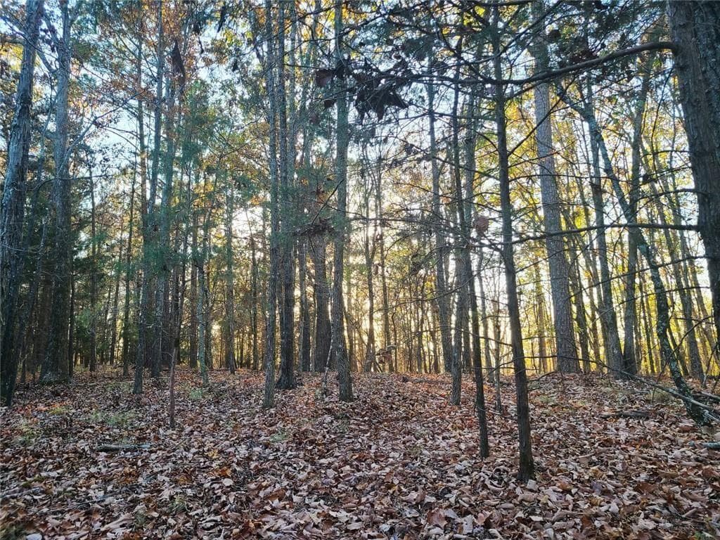 unimproved land for sale at 700 Gadsden Road, Cave Spring, GA 30124 — photo 9