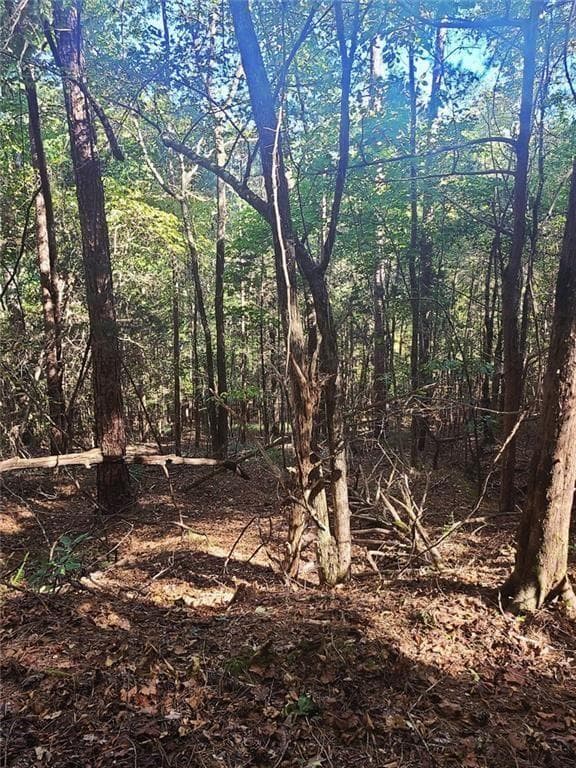 unimproved land for sale at 700 Gadsden Road, Cave Spring, GA 30124 — photo 10
