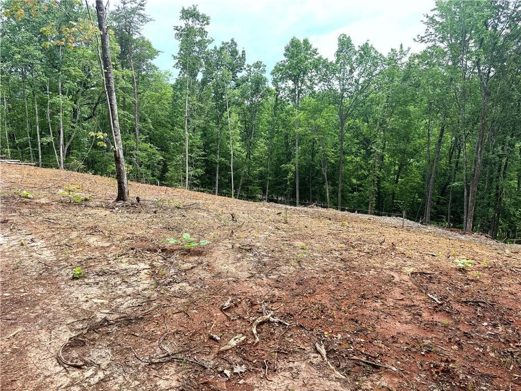 unimproved land for sale at 329 River Highlands Road, Dahlonega, GA 30533 — photo 5