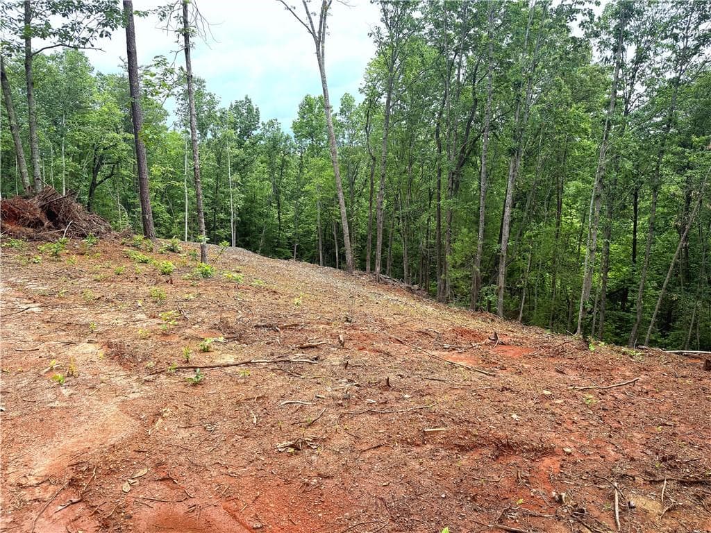 unimproved land for sale at 329 River Highlands Road, Dahlonega, GA 30533 — photo 7