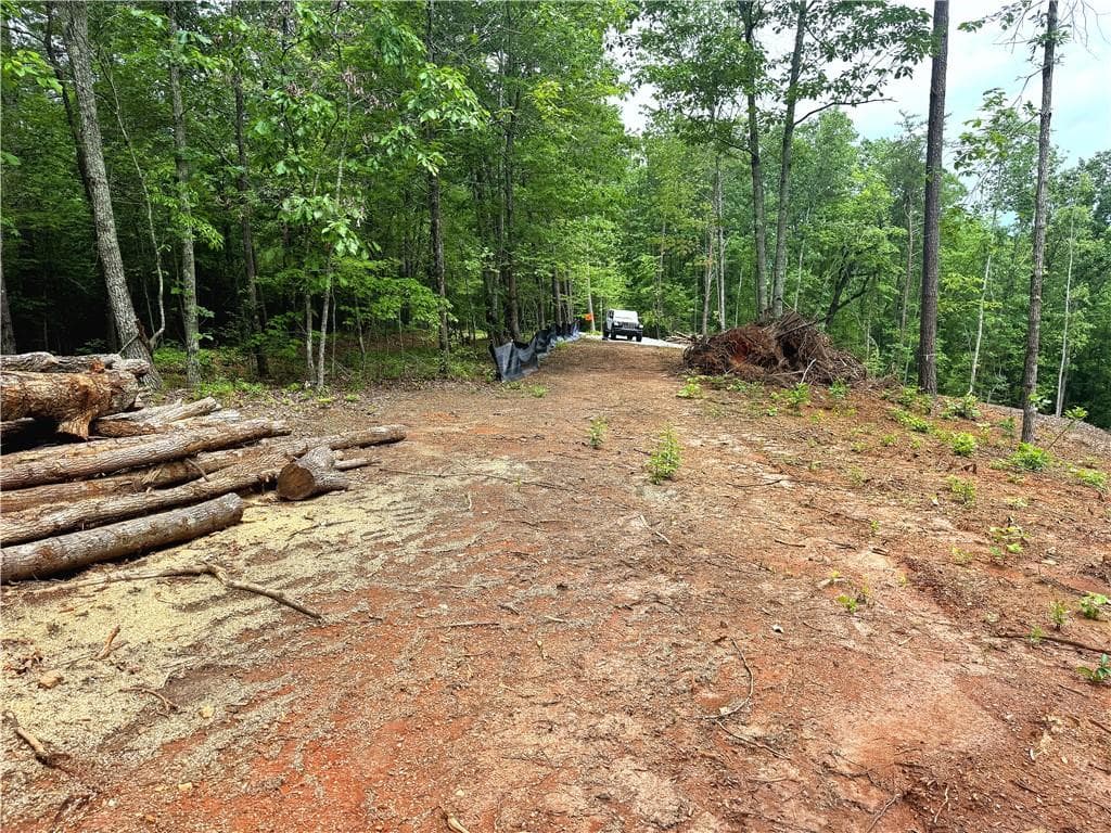 unimproved land for sale at 329 River Highlands Road, Dahlonega, GA 30533 — photo 8
