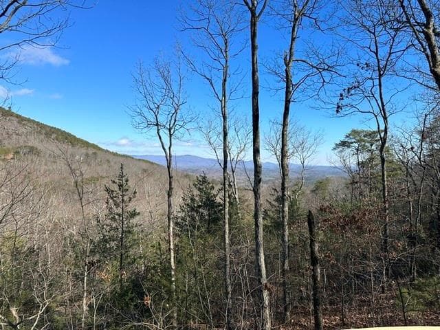 single family residence for sale at 0 Ridgeside Court, Jasper, GA 30143 — photo 4