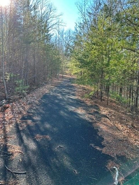 single family residence for sale at 0 Ridgeside Court, Jasper, GA 30143 — photo 5