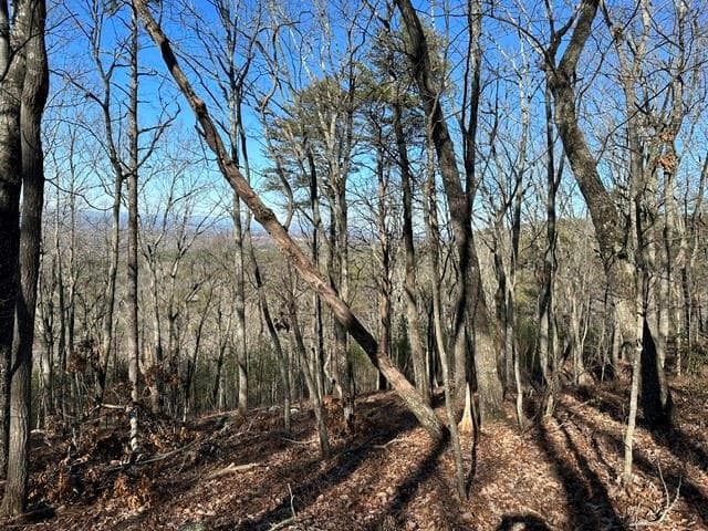 single family residence for sale at 0 Ridgeside Court, Jasper, GA 30143 — photo 6