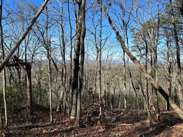 single family residence for sale at 0 Ridgeside Court, Jasper, GA 30143 — photo 7