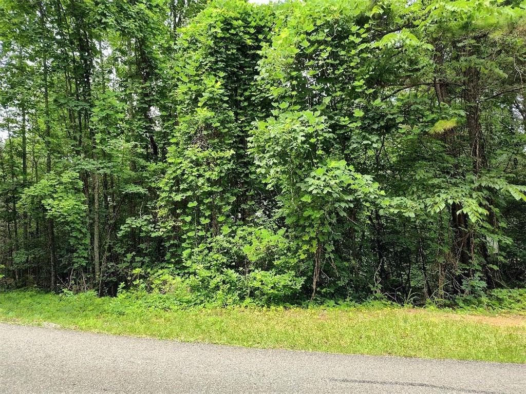 single family residence for sale at 330 Adair Drive, Ranger, GA 30734 — photo 2