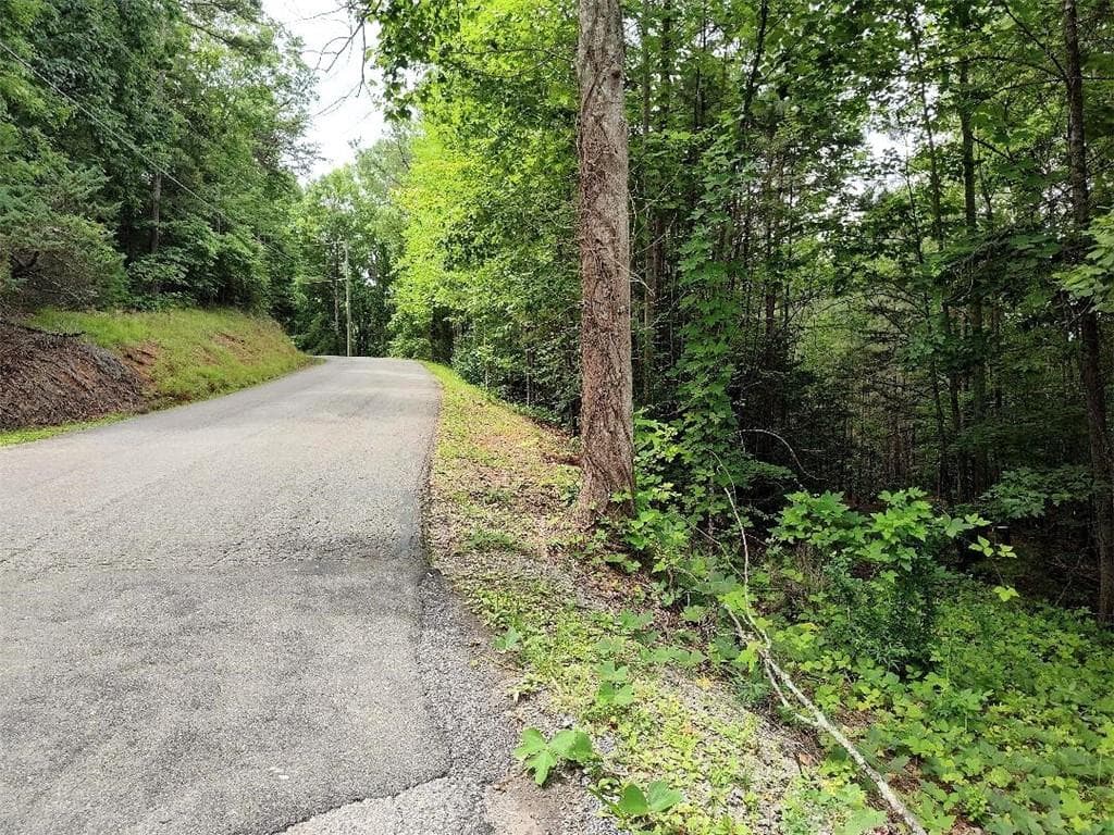 single family residence for sale at 330 Adair Drive, Ranger, GA 30734 — photo 4