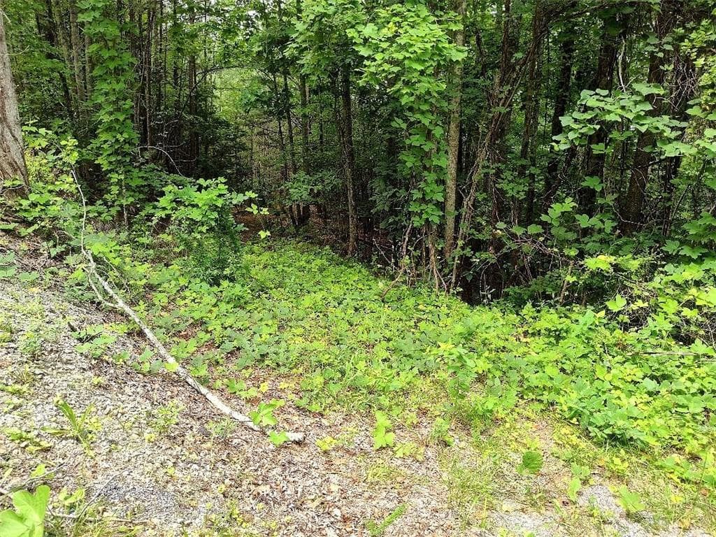 single family residence for sale at 330 Adair Drive, Ranger, GA 30734 — photo 5
