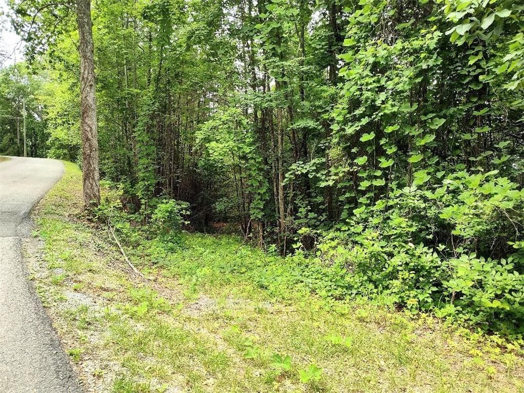 single family residence for sale at 330 Adair Drive, Ranger, GA 30734 — photo 6