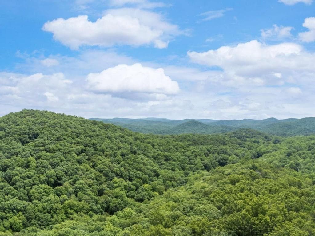 unimproved land for sale at 57.64 AC Mountain Ash Road, Ellijay, GA 30536