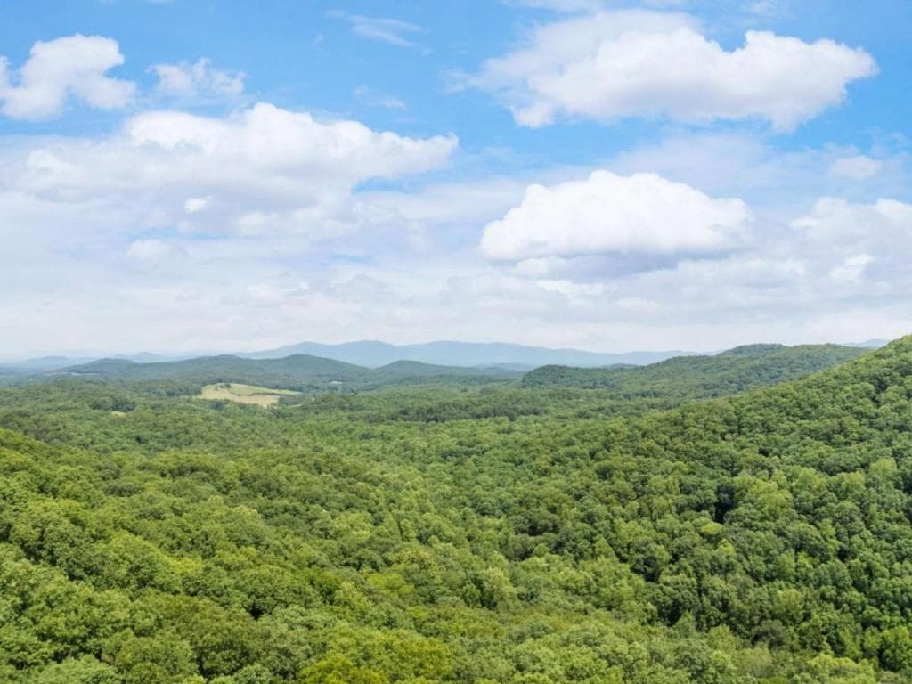 unimproved land for sale at 57.64 AC Mountain Ash Road, Ellijay, GA 30536 — photo 2