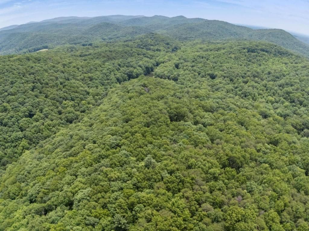 unimproved land for sale at 57.64 AC Mountain Ash Road, Ellijay, GA 30536 — photo 3