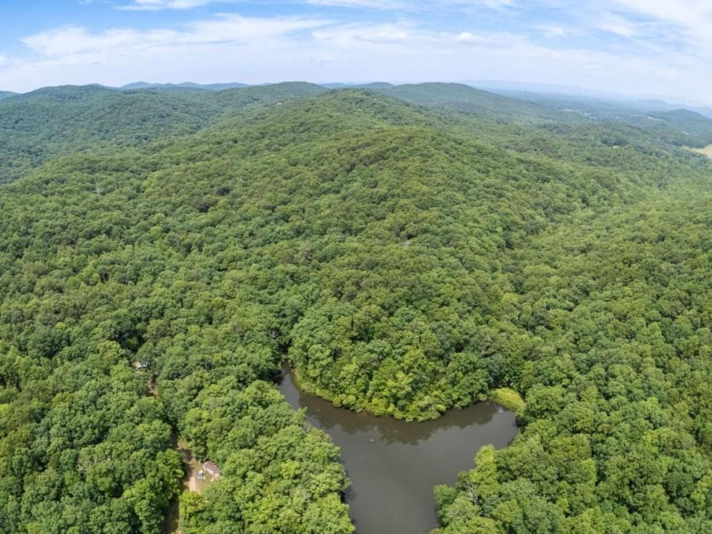unimproved land for sale at 57.64 AC Mountain Ash Road, Ellijay, GA 30536 — photo 4
