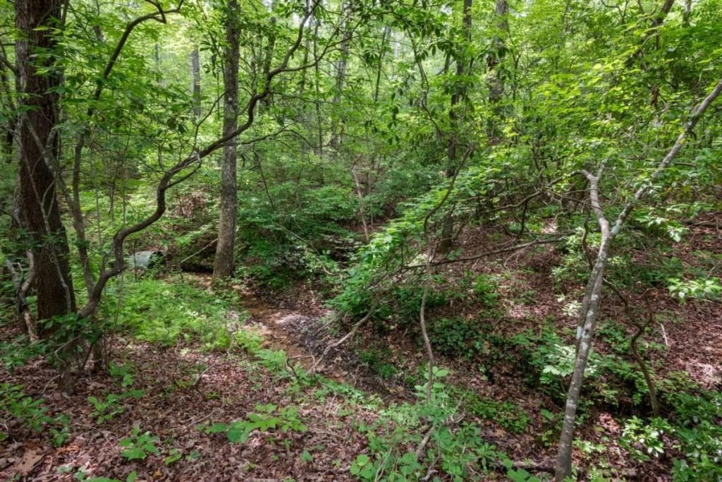 unimproved land for sale at 57.64 AC Mountain Ash Road, Ellijay, GA 30536 — photo 7