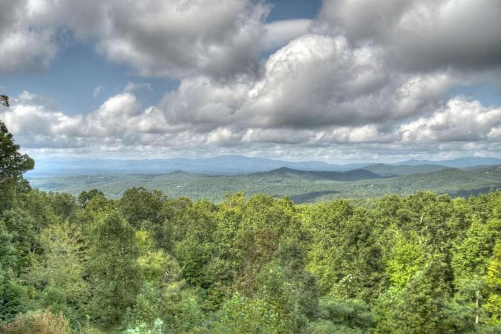 4 bedroom, 4 bathroom, 2,970 sq ft single family residence for sale at 1404 Mountain High Drive, Mineral Bluff, GA 30559 — photo 5
