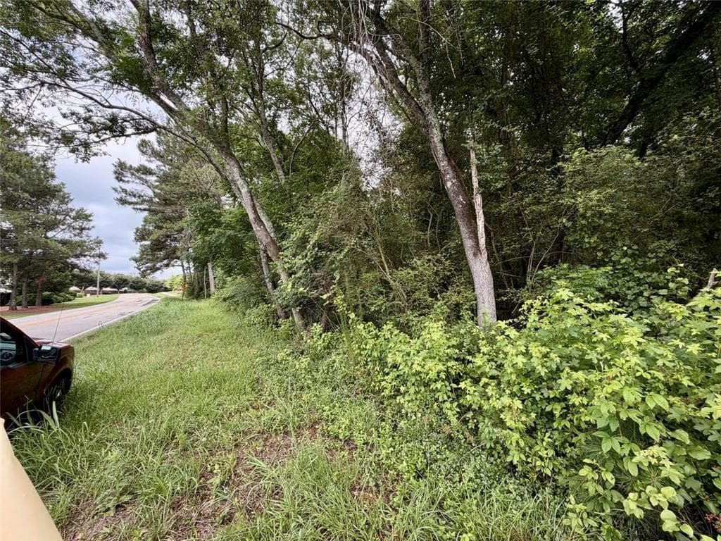unimproved land for sale at 0 Maddox, Hoschton, GA 30549 — photo 4