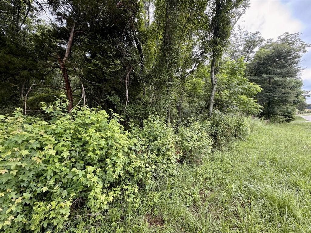 unimproved land for sale at 0 Maddox, Hoschton, GA 30549 — photo 5