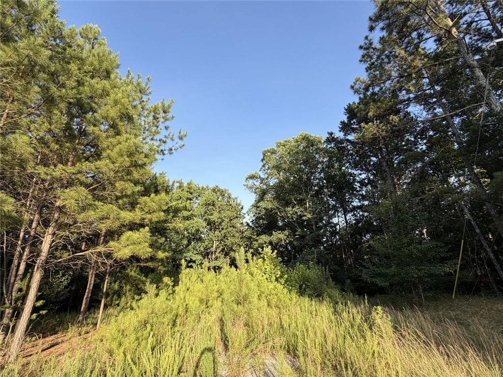 single family residence for sale at 20 Overlook Drive, Rome, GA 30161 — photo 4