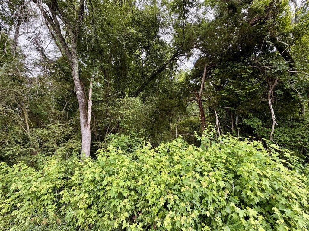 other for sale at 0 Maddox, Hoschton, GA 30549 — photo 6