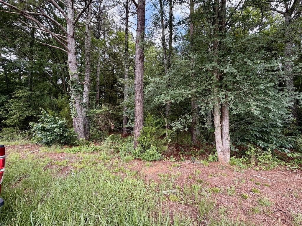 other for sale at 0 Maddox, Hoschton, GA 30549 — photo 8