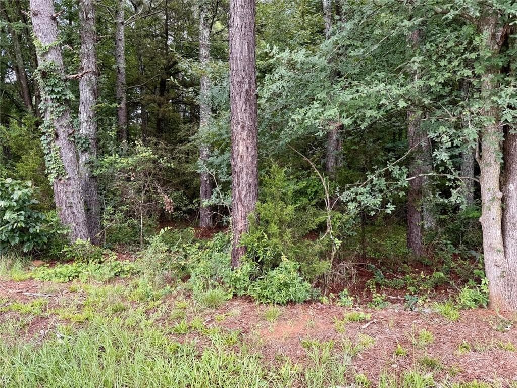 other for sale at 0 Maddox, Hoschton, GA 30549 — photo 9