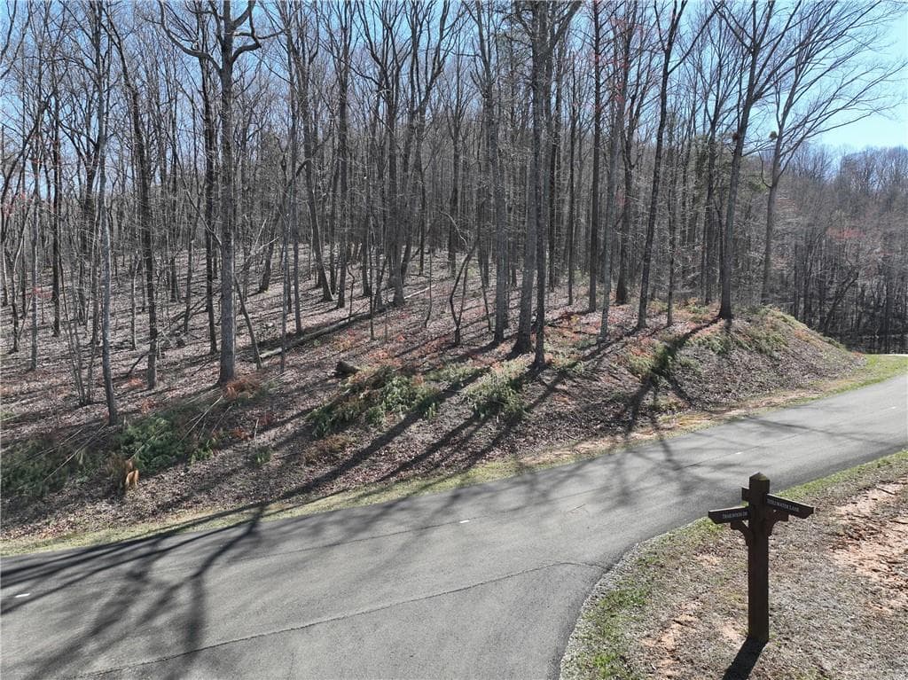 single family residence for sale at 180 Trailwood Drive, Ellijay, GA 30536